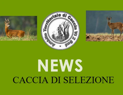 NUOVE DISPOSIZIONI RECUPERO CARCASSE CAPRIOLO DA GENNAIO 2025